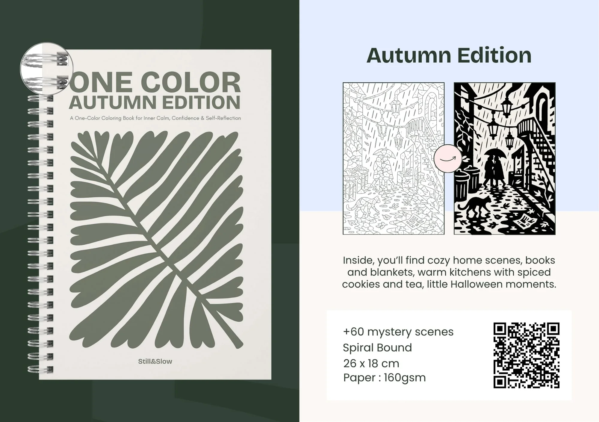 Pack 4 Books - Build Your Own Set - Image 5