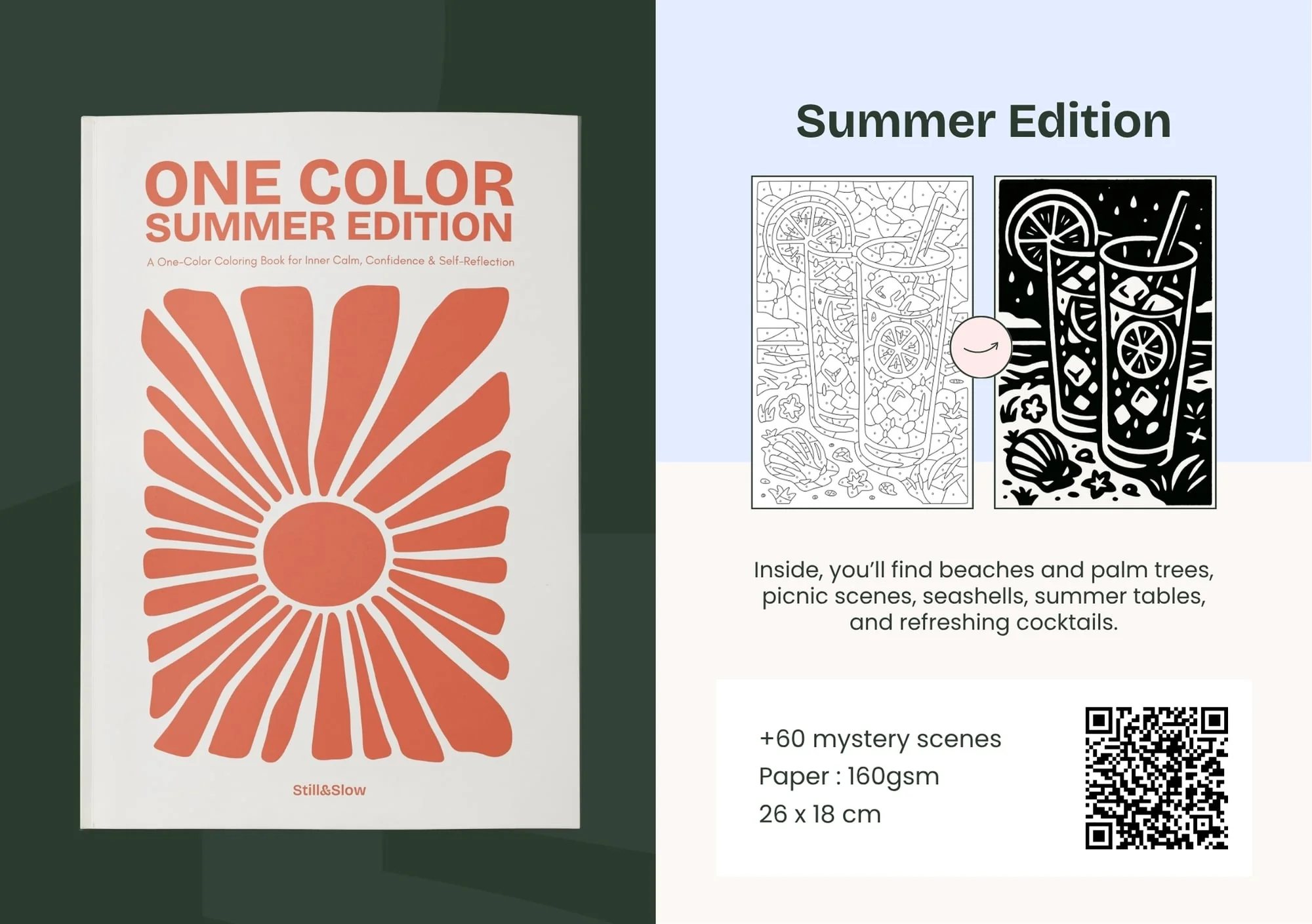 Pack 4 Books - Build Your Own Set - Image 8